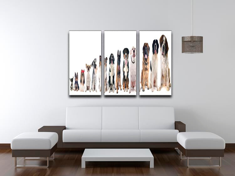 A beautiful 3-panel canvas print featuring a group of dogs against a white background, perfect for home decor.