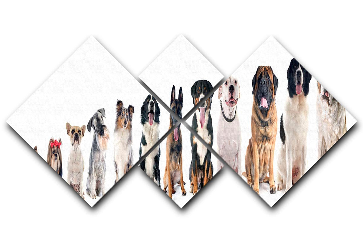 A beautiful 4 square multi panel canvas featuring a group of dogs against a white background, showcasing vibrant colors and detailed artwork.