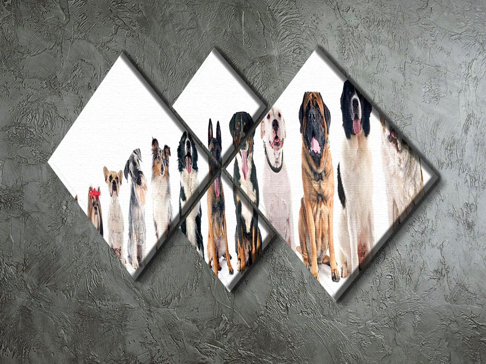 A beautiful 4 square multi panel canvas featuring a group of dogs against a white background, showcasing vibrant colors and detailed artwork.