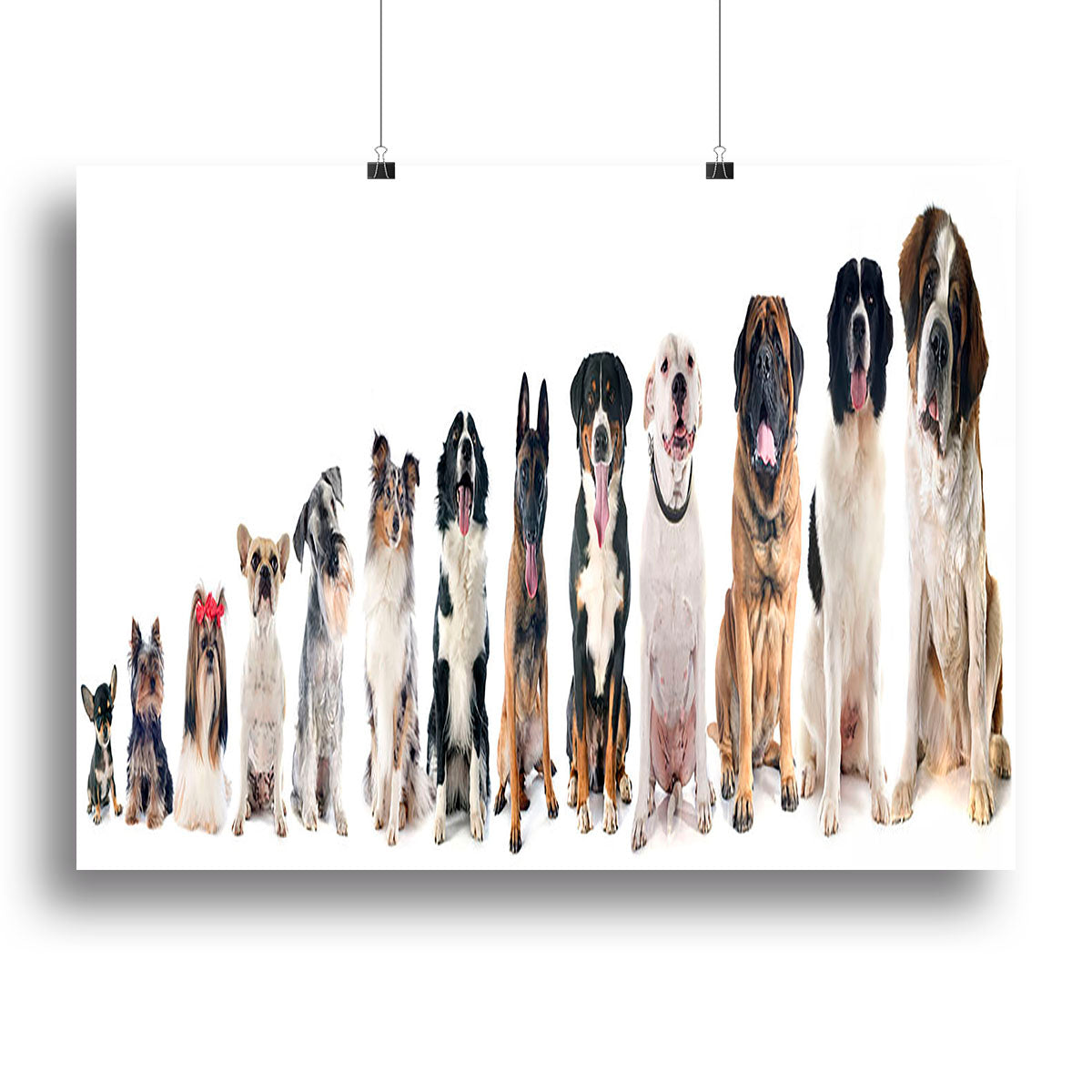 A vibrant canvas print featuring a group of playful dogs against a white background, perfect for home decor.
