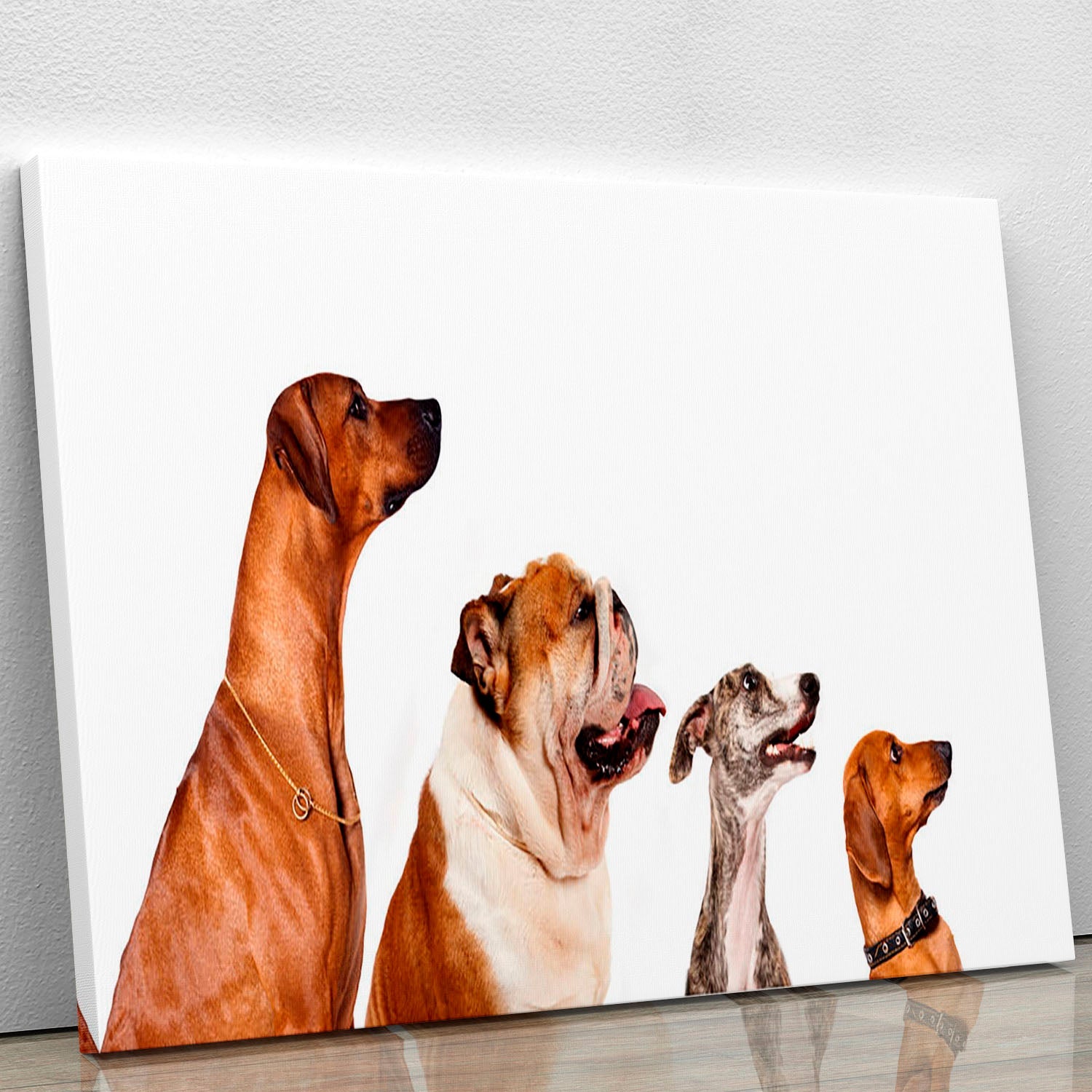 A vibrant canvas print featuring a group of dogs looking up, showcasing their playful expressions and charm.