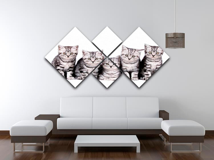 A charming 4-square multi-panel canvas featuring five adorable British Shorthair kittens, perfect for home decor.