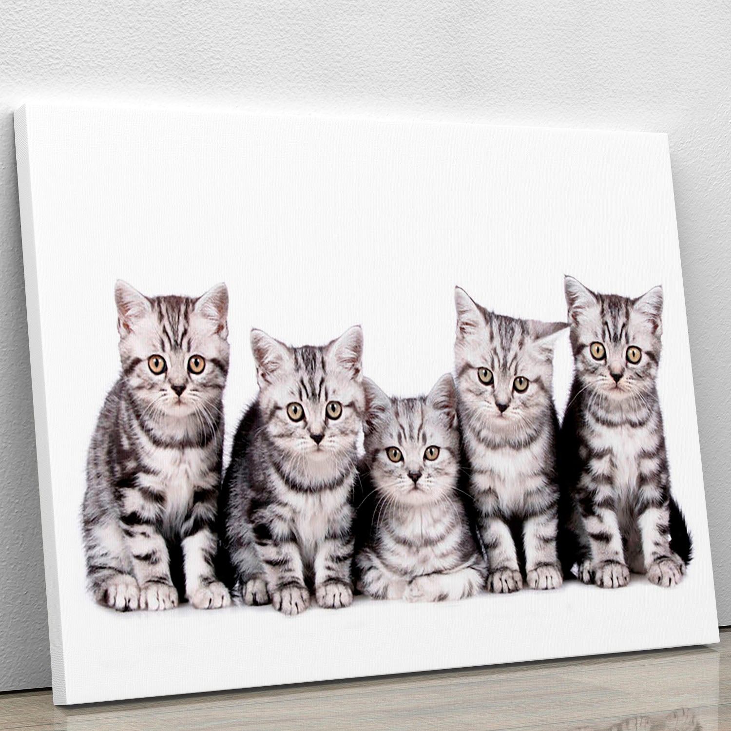 A vibrant canvas print featuring five playful British Shorthair kittens, showcasing their adorable expressions and soft fur.