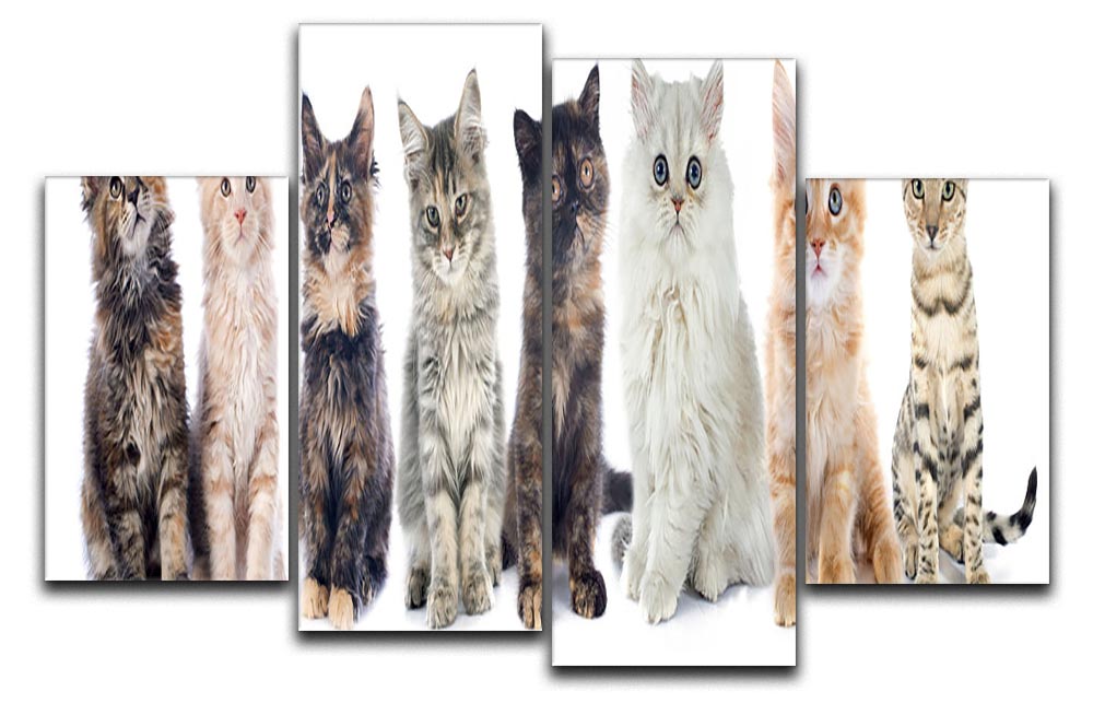 A charming 4-split panel canvas featuring a group of playful kittens against a white background, showcasing their adorable expressions.