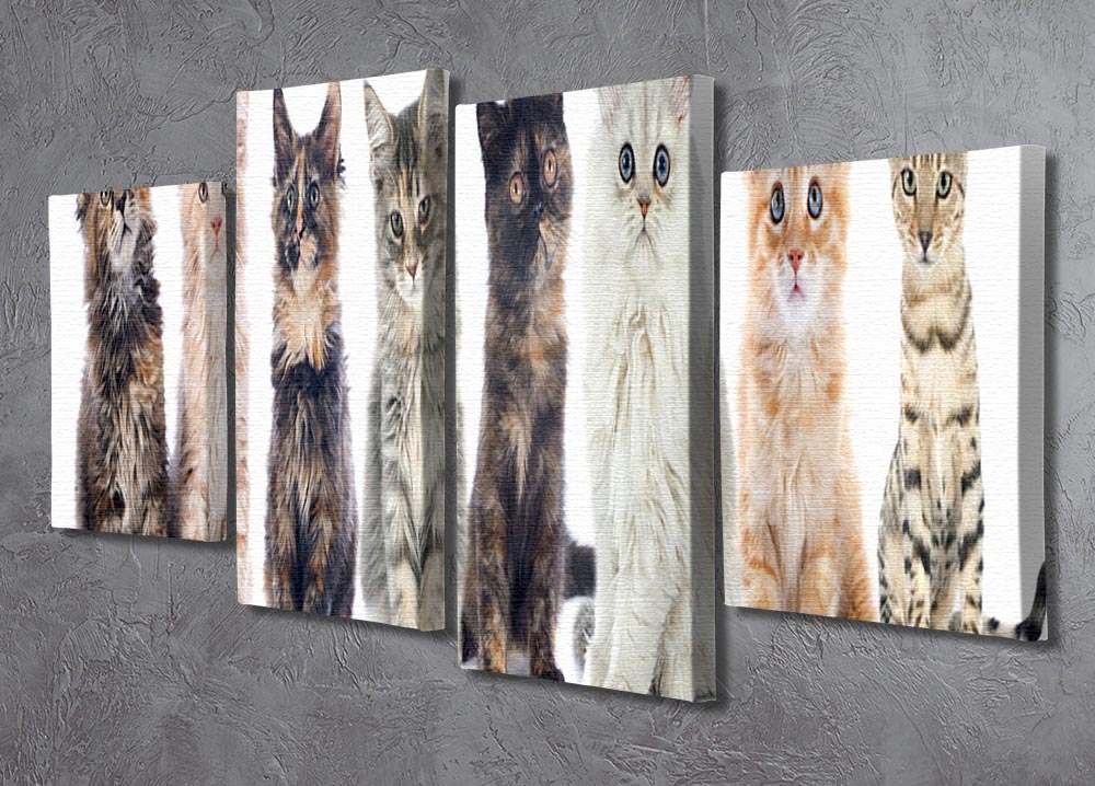 A charming 4-split panel canvas featuring a group of playful kittens against a white background, showcasing their adorable expressions.