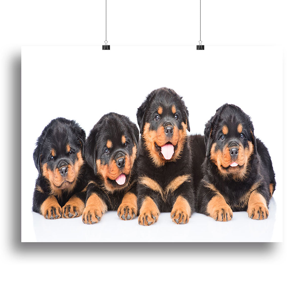 A vibrant canvas print featuring a group of playful Rottweiler puppies, showcasing their adorable expressions and playful nature.