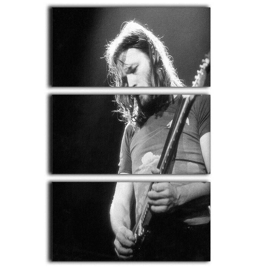 A stunning 3-panel canvas print featuring guitarist David Gilmour, showcasing vibrant colors and intricate details.
