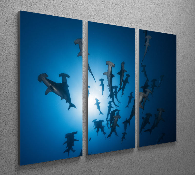 A stunning 3-panel canvas print featuring a hammerhead shark, perfect for enhancing any room's decor.
