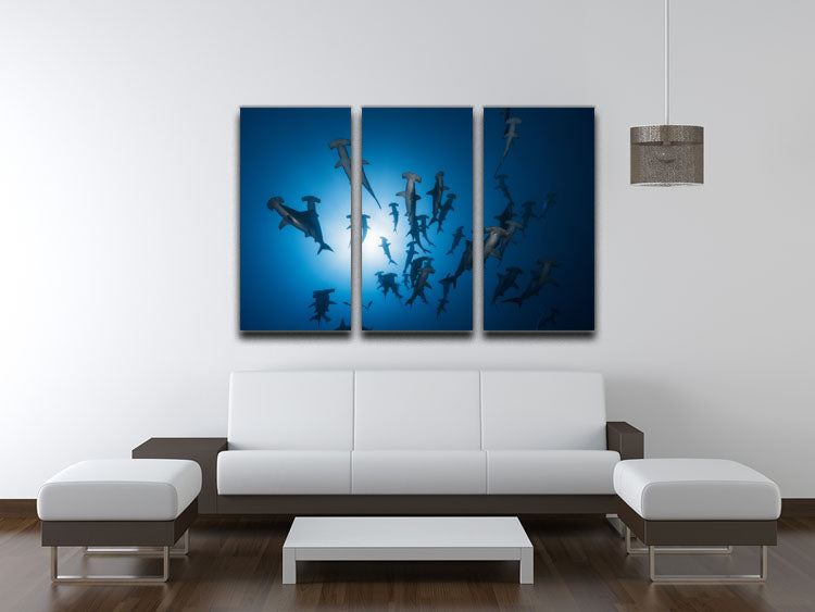 A stunning 3-panel canvas print featuring a hammerhead shark, perfect for enhancing any room's decor.