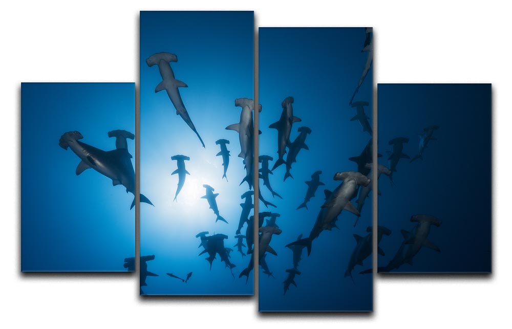 A stunning 4-split canvas artwork featuring a hammerhead shark, showcasing vibrant colors and intricate details across four panels.