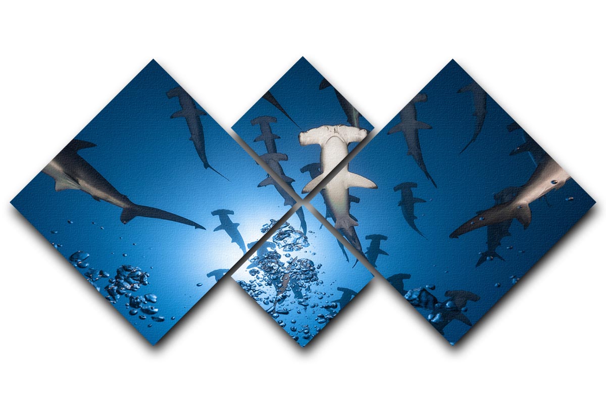 A stunning multi-panel canvas artwork featuring a hammerhead shark, divided into four equal square sections, showcasing vibrant colors and intricate details.