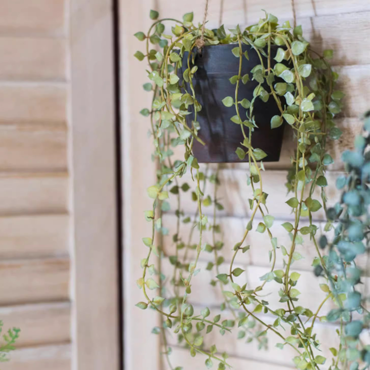 Hanging Faux Ceropegia Vine in a black pot, showcasing lush green leaves and a decorative rope for hanging.