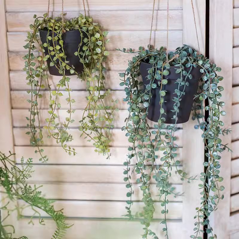 Hanging Faux Ceropegia Vine in a black pot, showcasing lush green leaves and a decorative rope for hanging.