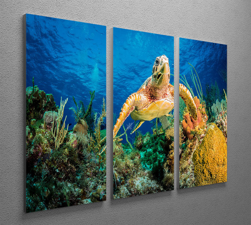 A beautiful 3-panel canvas art featuring a Hawksbill turtle swimming through a vibrant Caribbean reef, showcasing colorful marine life.