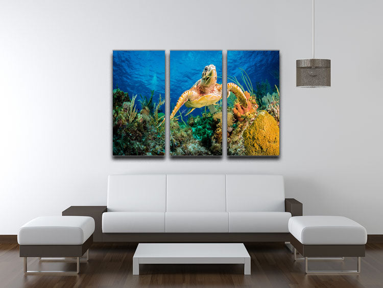 A beautiful 3-panel canvas art featuring a Hawksbill turtle swimming through a vibrant Caribbean reef, showcasing colorful marine life.