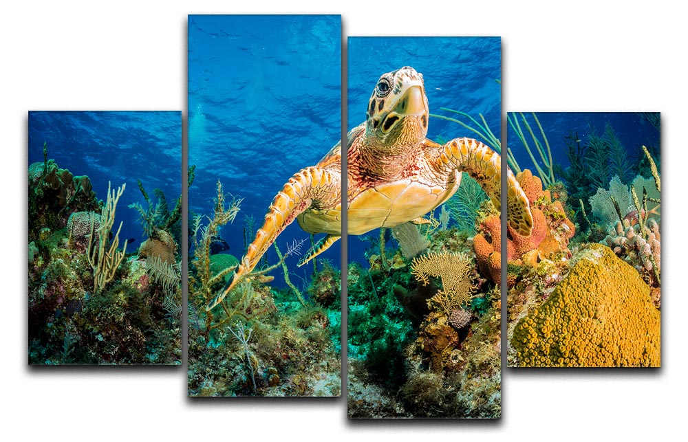 A stunning 4-split canvas artwork featuring a Hawksbill turtle swimming through a vibrant Caribbean reef, showcasing colorful corals and marine life.