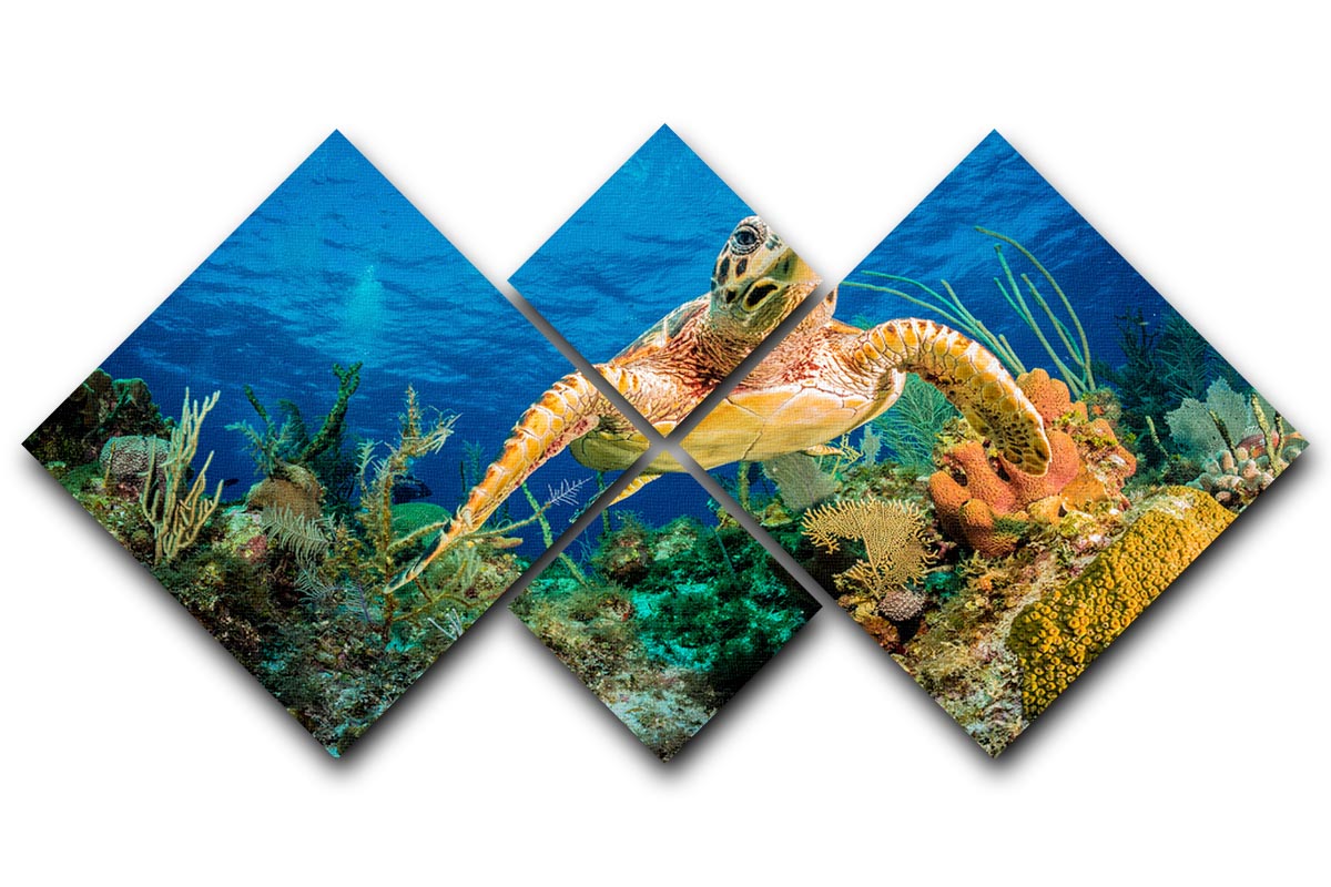 A vibrant 4-square canvas artwork depicting a Hawksbill turtle swimming through a colorful Caribbean reef, showcasing marine life beauty.