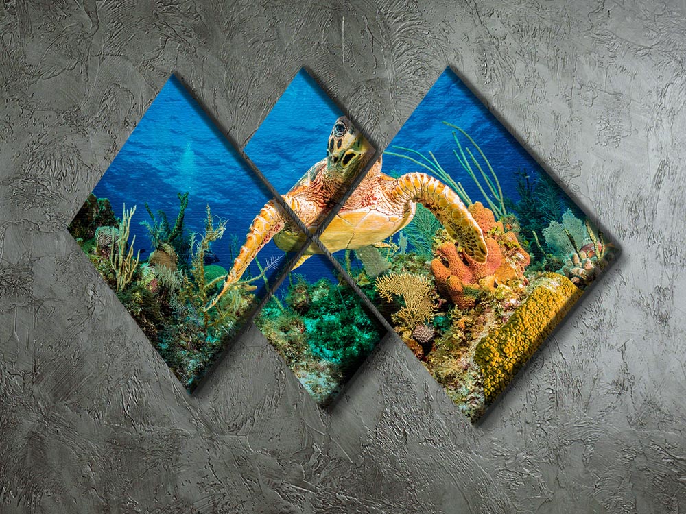 A vibrant 4-square canvas artwork depicting a Hawksbill turtle swimming through a colorful Caribbean reef, showcasing marine life beauty.