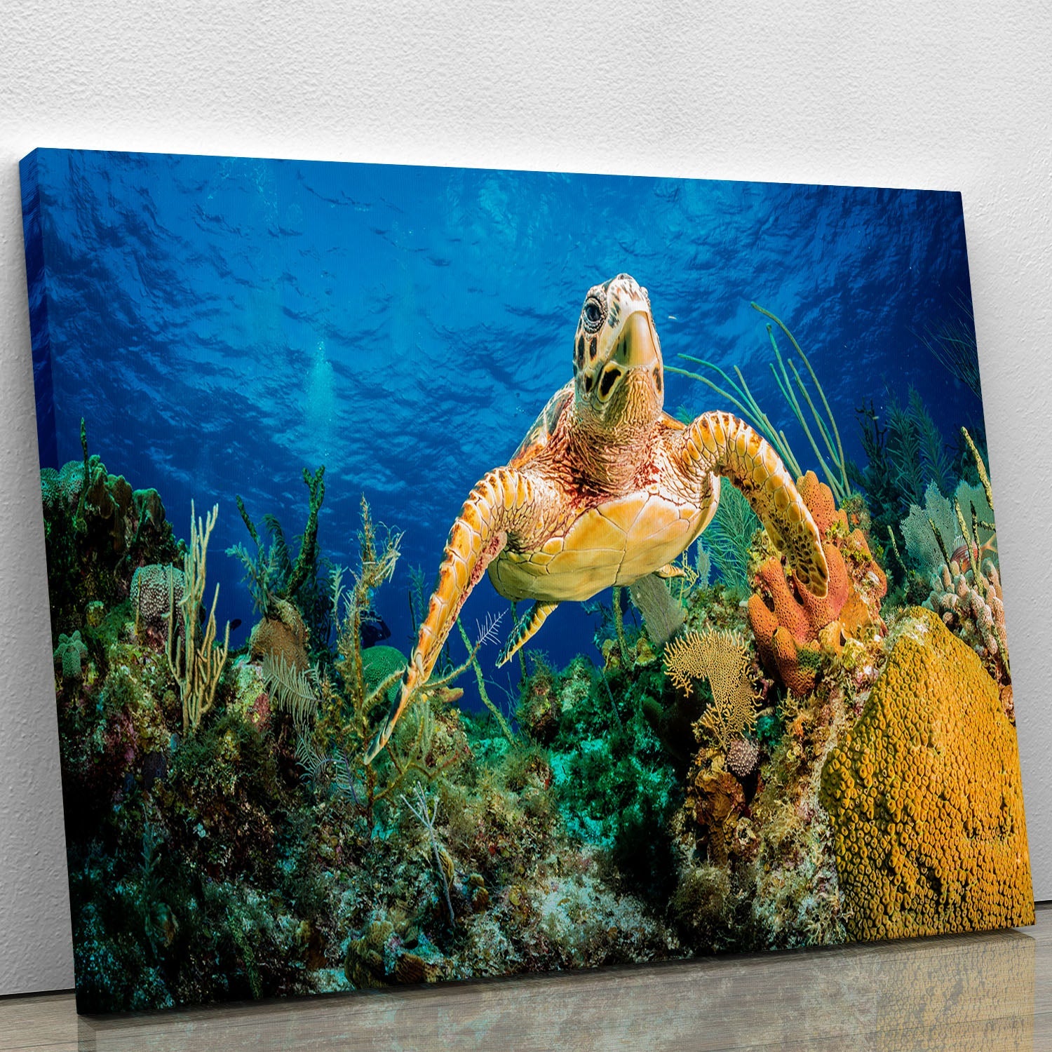 A vibrant canvas print of a Hawksbill turtle swimming through a colorful Caribbean reef, showcasing marine life and coral.