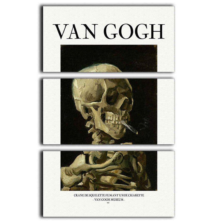 Three-panel canvas art featuring a skeleton head with a burning cigarette, showcasing intricate details and vibrant colors.