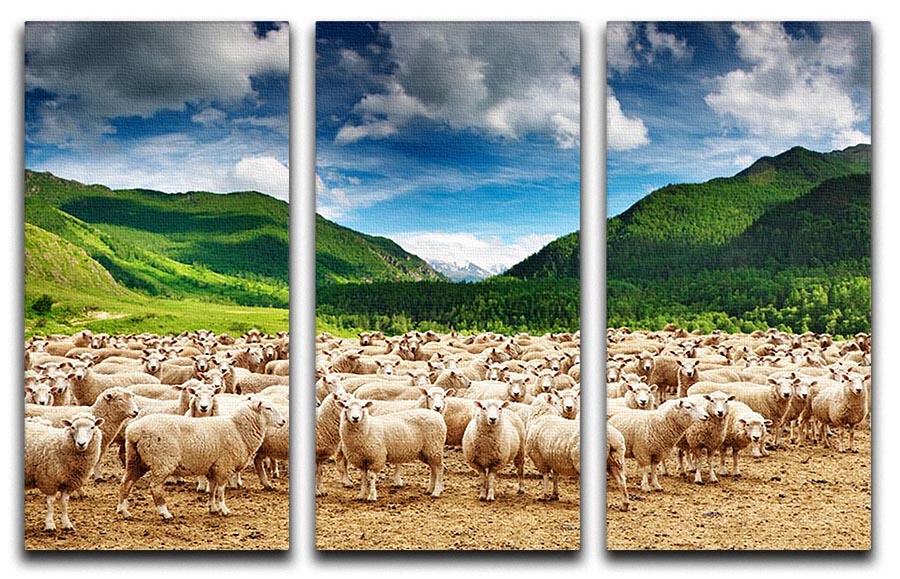 A beautiful 3-panel canvas print featuring a herd of sheep grazing in a serene landscape, perfect for home decor.