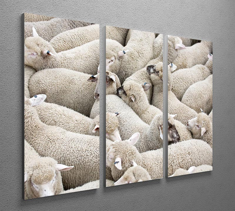 A beautiful 3-panel canvas print featuring a herd of sheep on a truck, showcasing vibrant colors and intricate details.