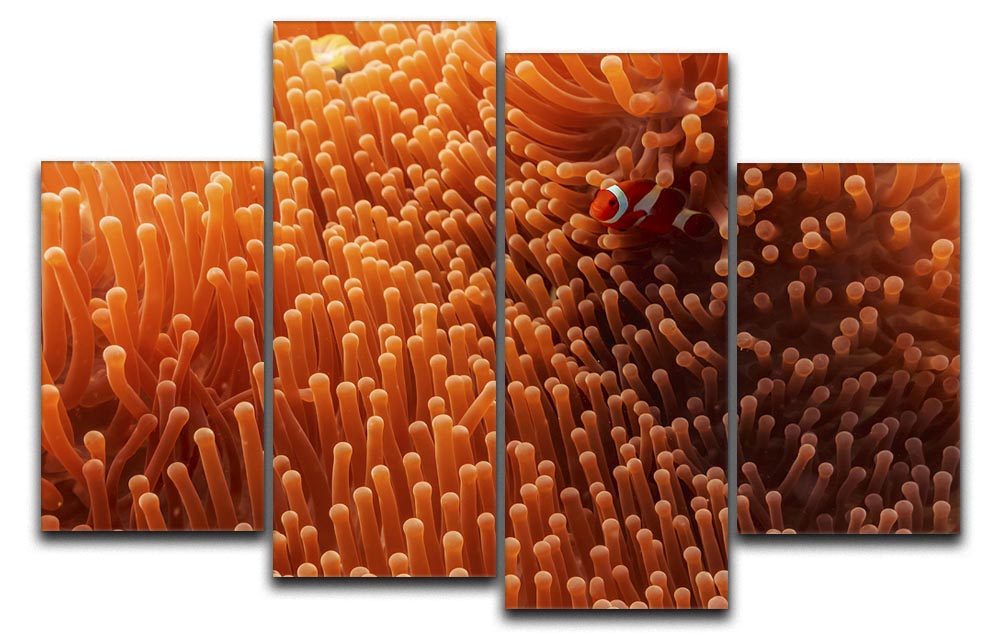 Hide And Seek 4 Split Panel Canvas artwork featuring four equal sections creating a cohesive image, perfect for home decor.