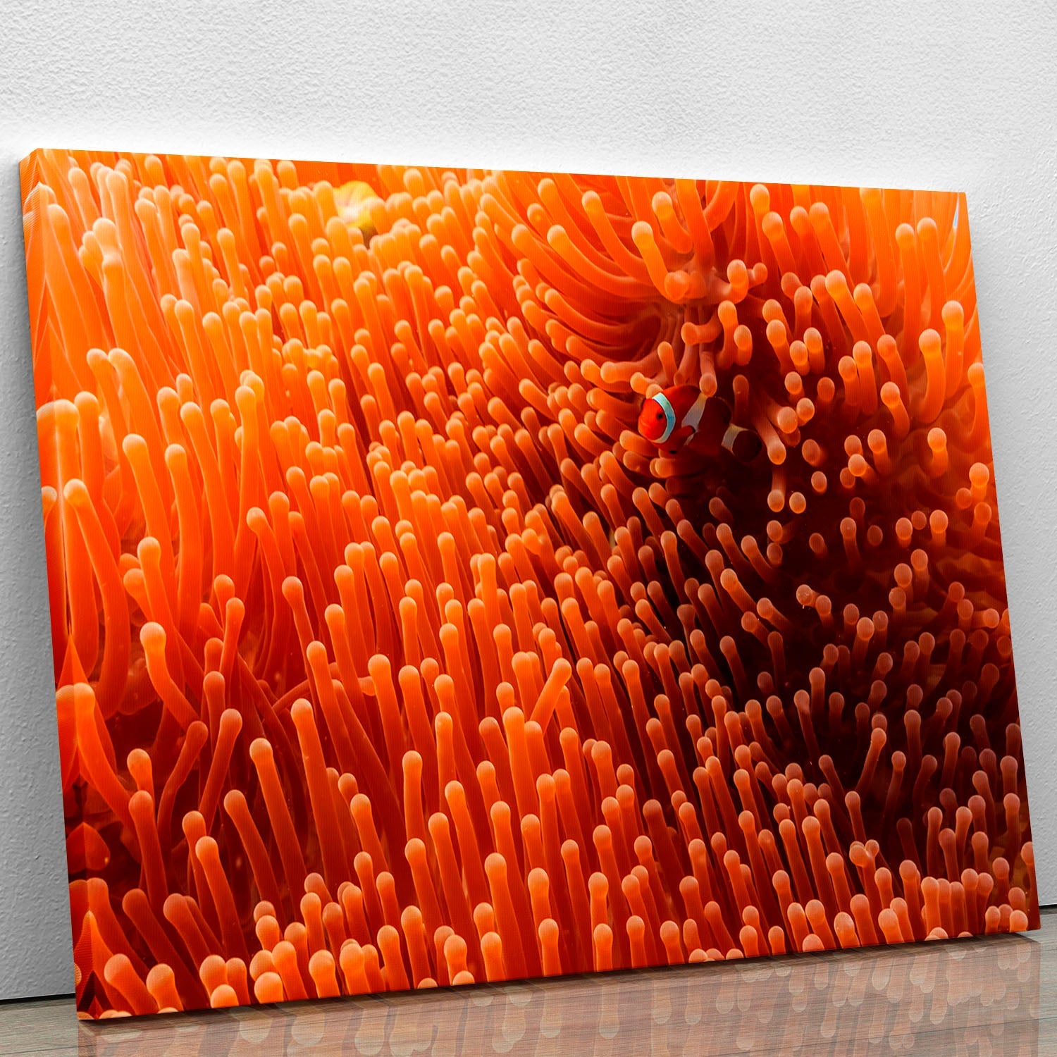 Hide And Seek canvas print featuring playful design, perfect for home or office decor.