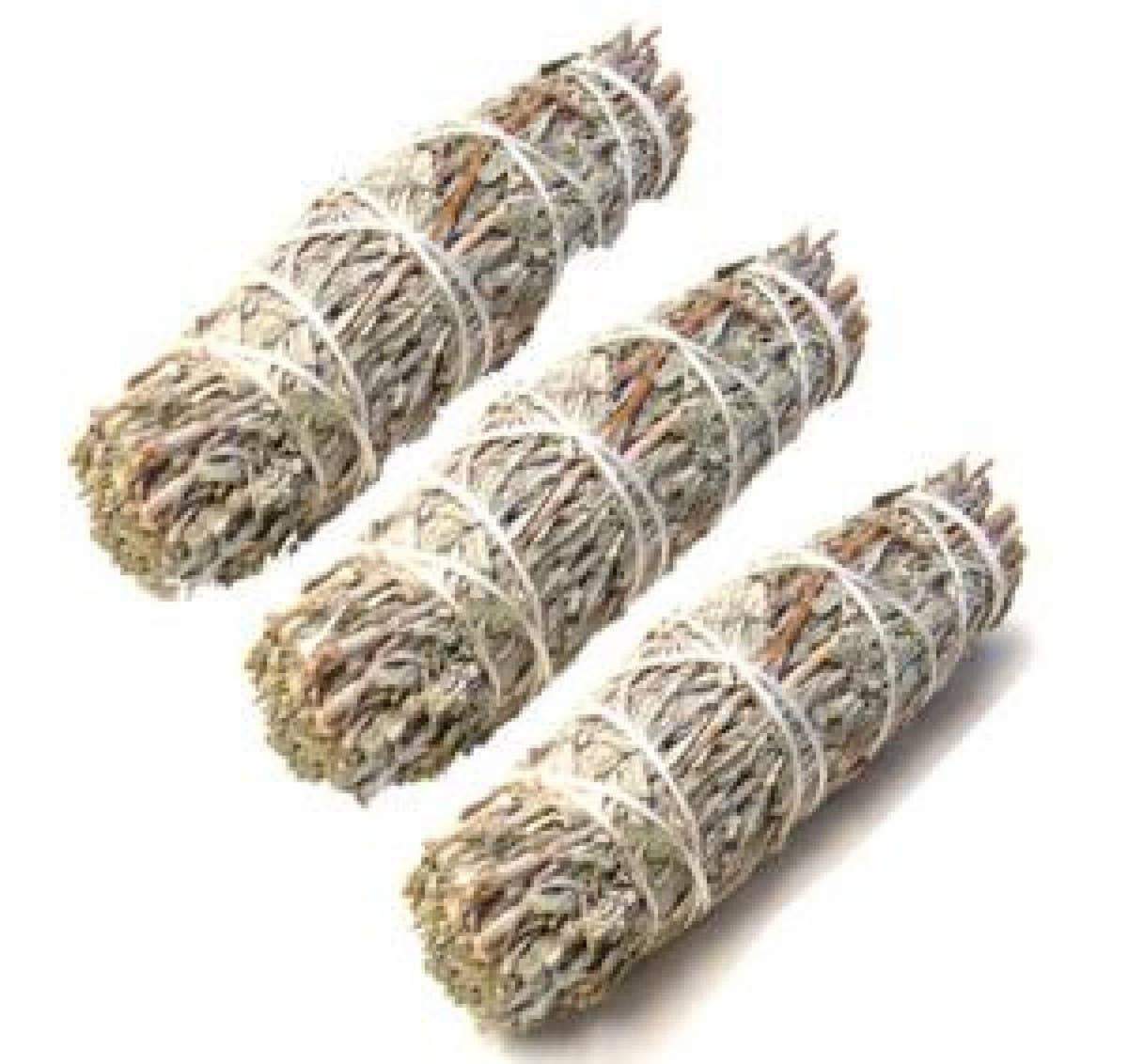 A 6-inch bundle of Blue Sage, hand-harvested, showcasing its rich green leaves and aromatic properties, perfect for smudging and cleansing.