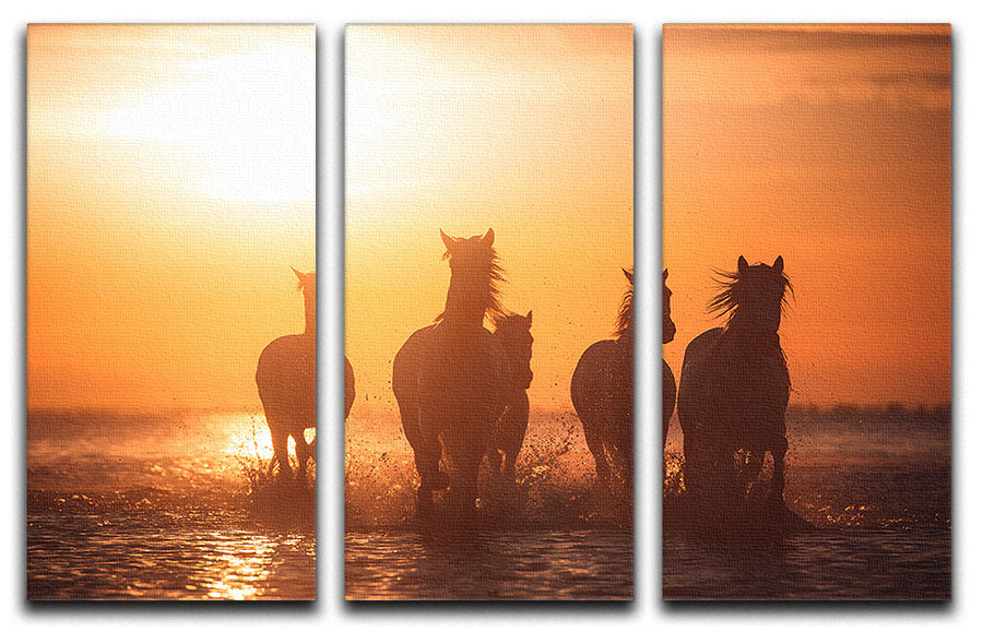 A beautiful 3-panel canvas print featuring Horse Camargue angels, showcasing vibrant colors and intricate details, perfect for home decor.
