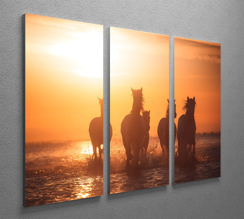 A beautiful 3-panel canvas print featuring Horse Camargue angels, showcasing vibrant colors and intricate details, perfect for home decor.