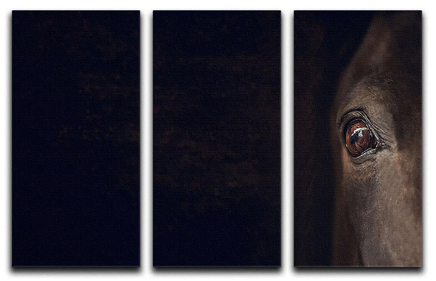 A beautiful 3-panel canvas print featuring a horse eye design, showcasing vibrant colors and intricate details, perfect for home decor.