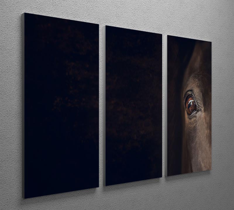 A beautiful 3-panel canvas print featuring a horse eye design, showcasing vibrant colors and intricate details, perfect for home decor.