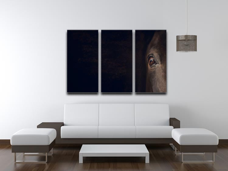 A beautiful 3-panel canvas print featuring a horse eye design, showcasing vibrant colors and intricate details, perfect for home decor.