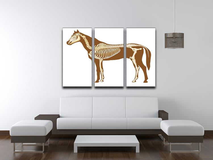 Three-panel canvas print featuring a detailed horse skeleton x-ray design, perfect for modern decor.