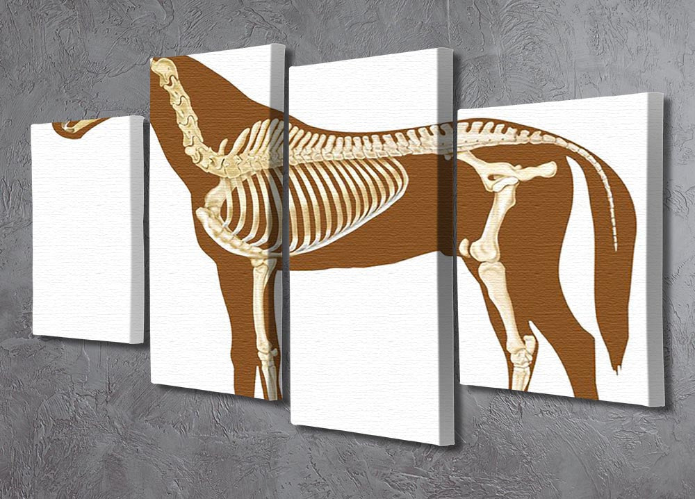 A 4-split canvas artwork featuring a detailed x-ray of a horse skeleton, showcasing its bones in a striking arrangement.