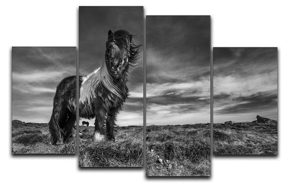 A stunning 4-split canvas artwork featuring a majestic horse standing, showcasing vibrant colors and intricate details.