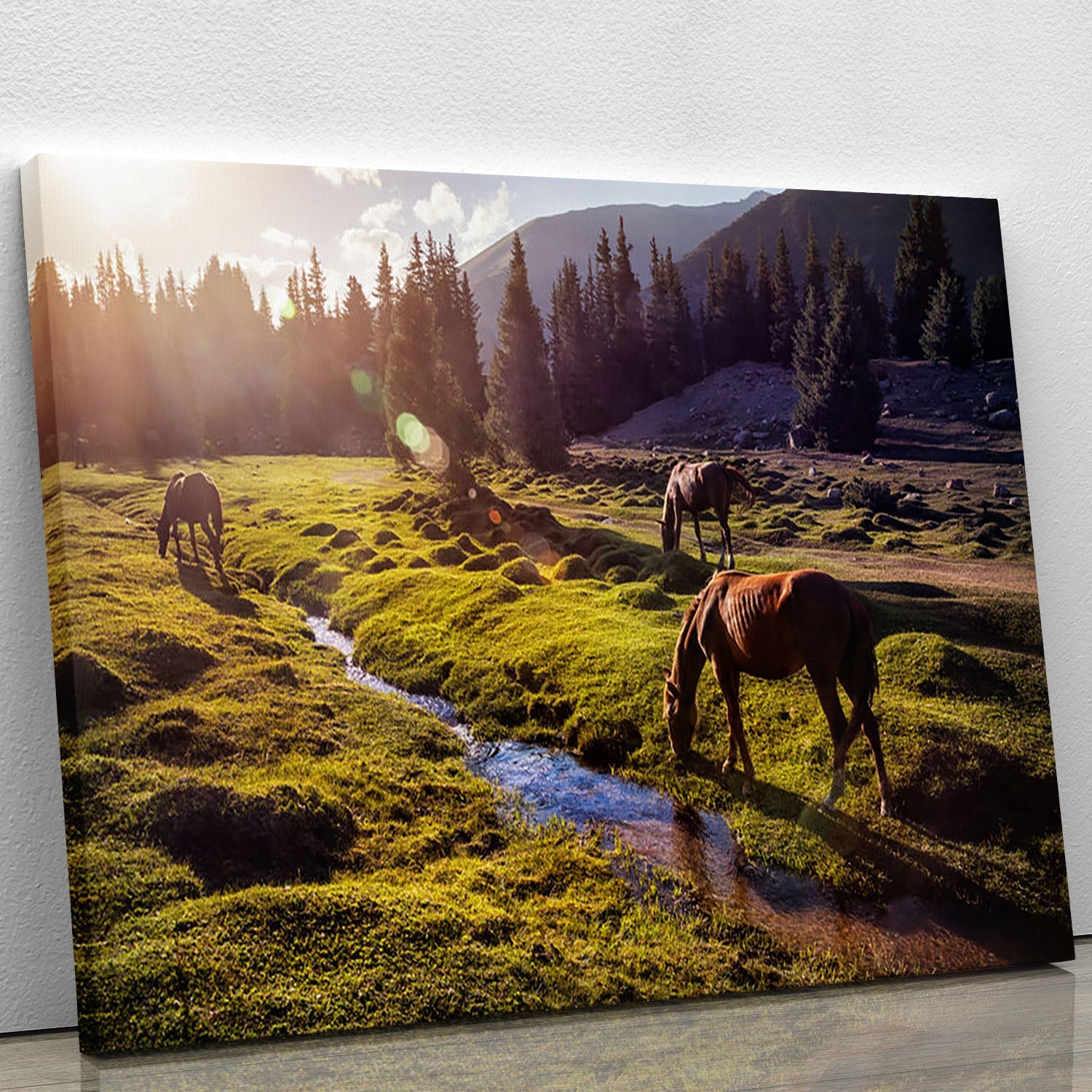 A beautiful canvas print of horses in the Gregory Gorge Mountains, showcasing majestic horses in a stunning natural landscape.