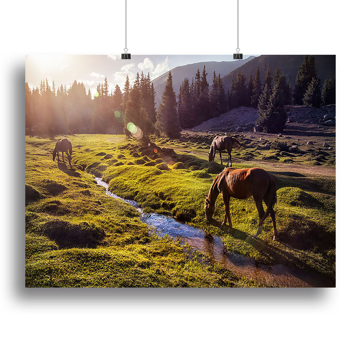 A beautiful canvas print of horses in the Gregory Gorge Mountains, showcasing majestic horses in a stunning natural landscape.