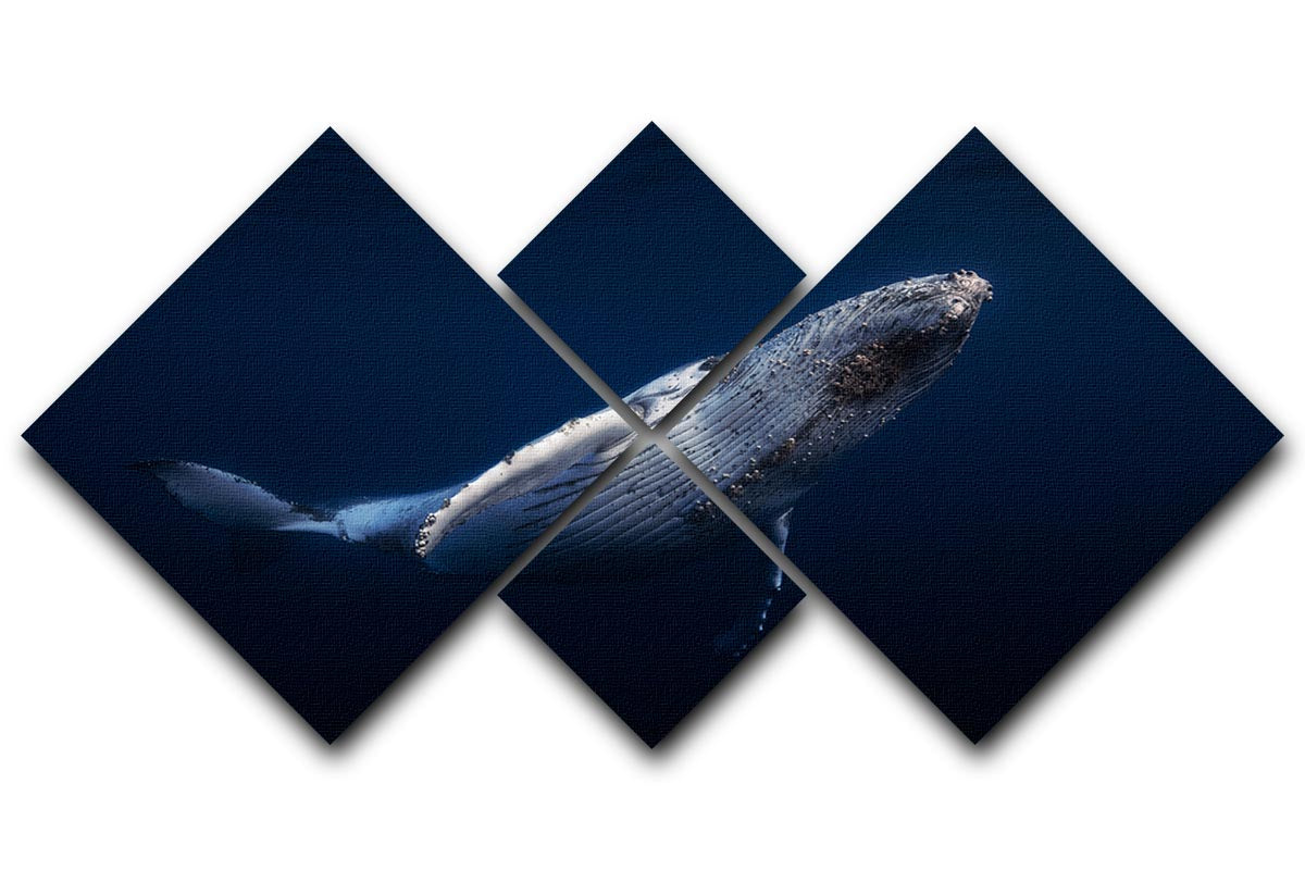 A beautiful multi-panel canvas artwork featuring a humpback whale, divided into four equal square sections, showcasing vibrant colors and intricate details.