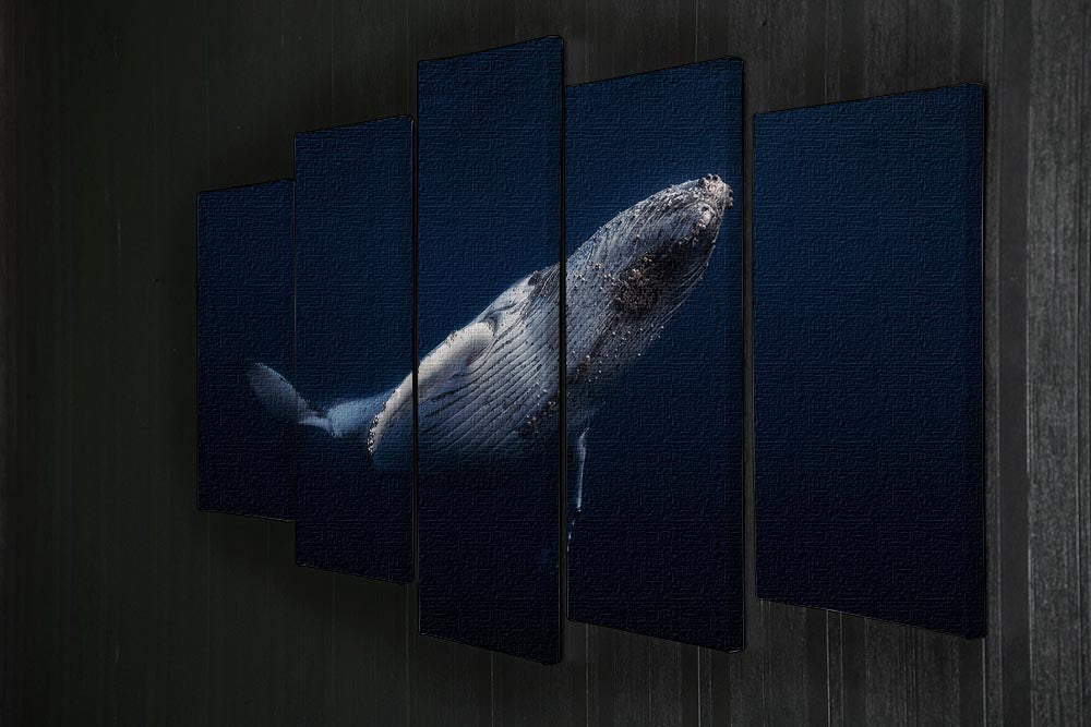 A stunning 5-panel canvas artwork featuring a humpback whale, showcasing vibrant colors and dynamic design.