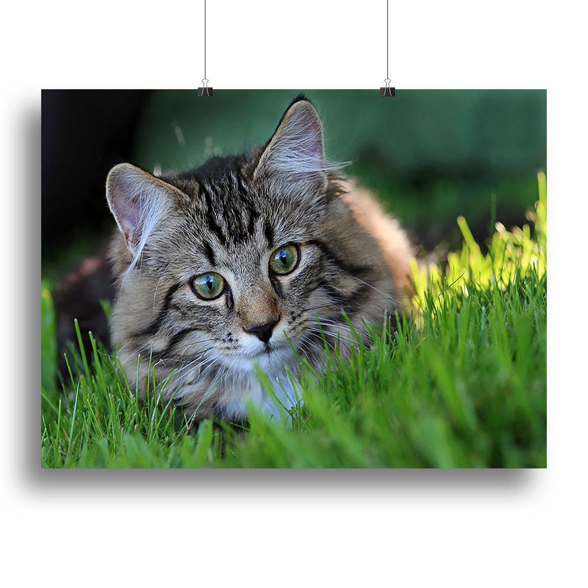 A beautiful canvas print titled 'Hunting in the Grass', showcasing vibrant nature scenes with intricate details.