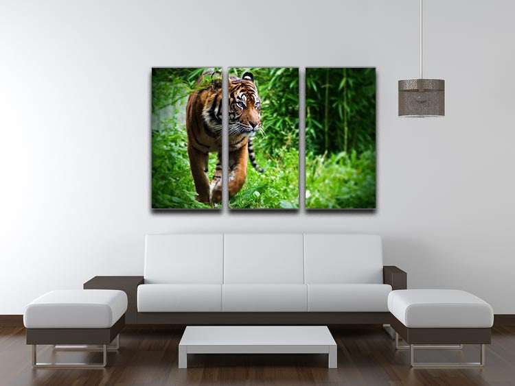A stunning 3-panel canvas print featuring a hunting tiger at the zoo, showcasing vibrant colors and intricate details.