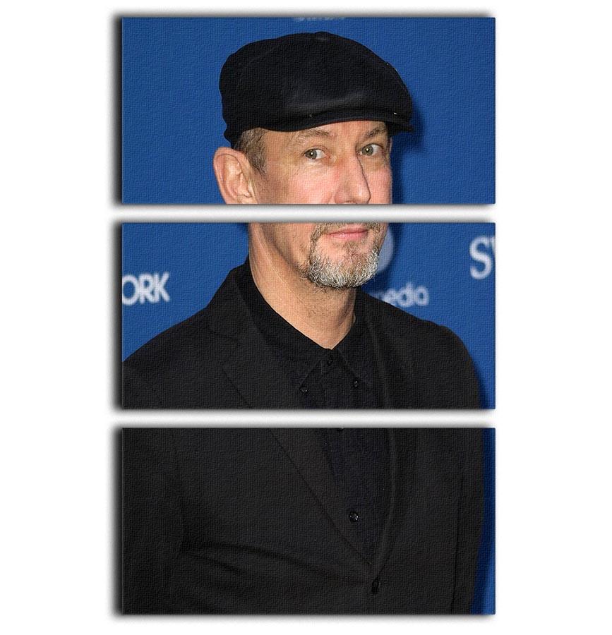 Ian Hart 3 Split Panel Canvas Print featuring three cohesive art panels with vibrant colors and intricate designs, perfect for home decor.