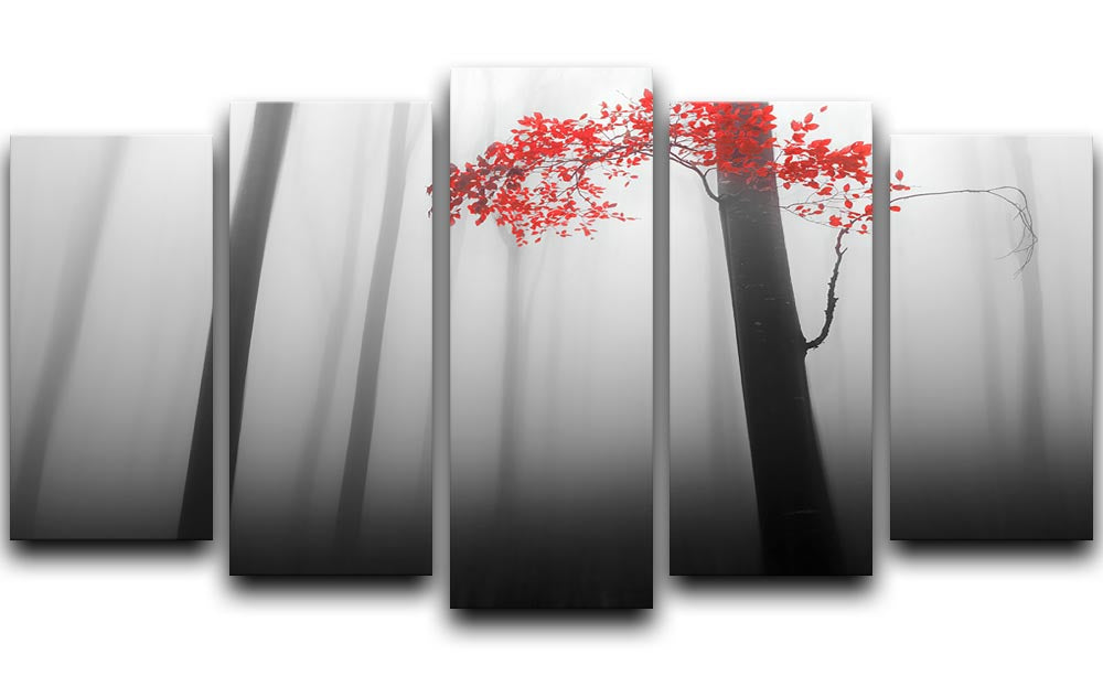 Illusion 5 Split Panel Canvas artwork featuring five panels with a cohesive design, adding depth and dimension to any space.