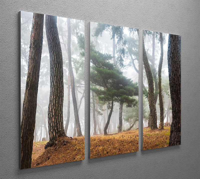 In The Misty Pine Forest 3 Split Panel Canvas Print showcasing serene pine trees in a misty landscape, perfect for home decor.