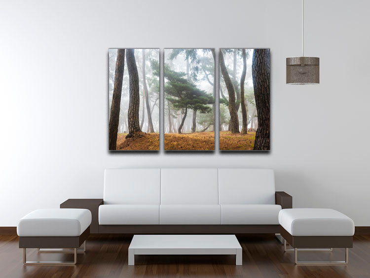 In The Misty Pine Forest 3 Split Panel Canvas Print showcasing serene pine trees in a misty landscape, perfect for home decor.