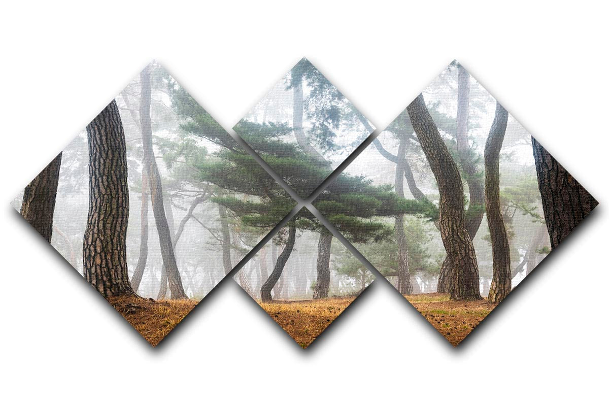 In The Misty Pine Forest 4 Square Multi Panel Canvas artwork featuring a serene forest scene divided into four equal panels.