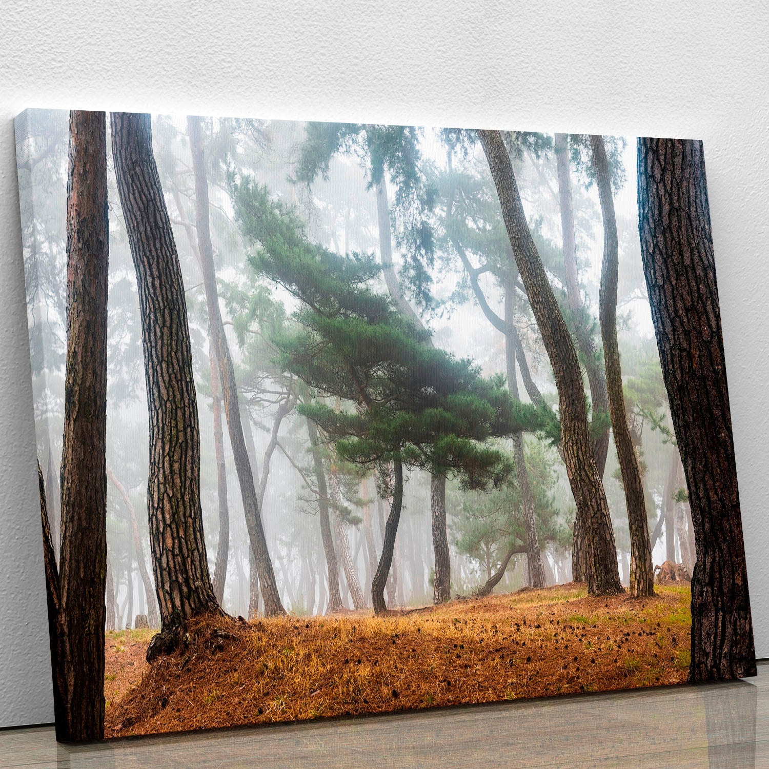 A serene canvas print featuring a misty pine forest, showcasing tall trees and soft fog, perfect for home decor.