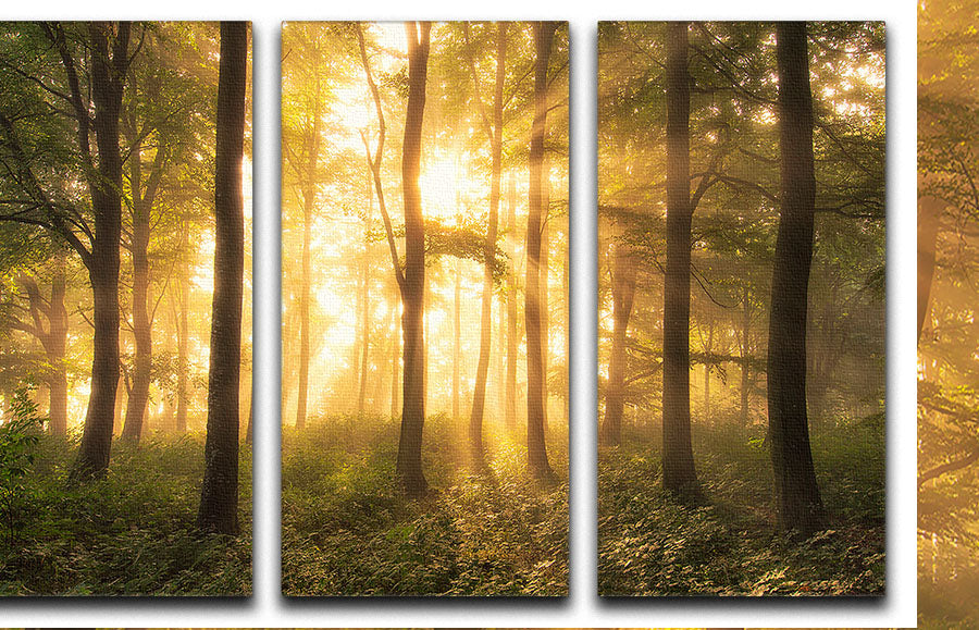 It's Nice To Love 3 Split Panel Canvas Print featuring three cohesive panels with elegant designs, perfect for home decor.